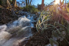 PXL_20240109_115252675.LONG_EXPOSURE-01.COVER2_