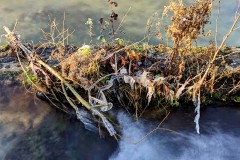 PXL_20240109_132051426.LONG_EXPOSURE-01.COVER2_