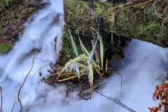 PXL_20240109_132634922.LONG_EXPOSURE-01.COVER2_