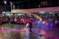 PXL_20231117_171121195.NIGHT2_