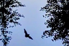 PXL_20260721_193419522_exported_280582
