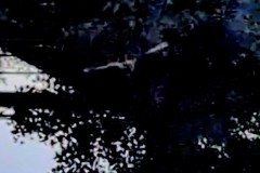 PXL_20260721_193419522_exported_38362