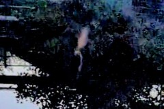 PXL_20260721_193419522_exported_64622