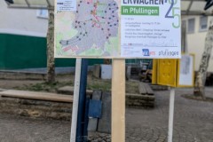 PXL_20250323_1650535432