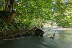 PXL_20230707_113352447.LONG_EXPOSURE-01.COVER_