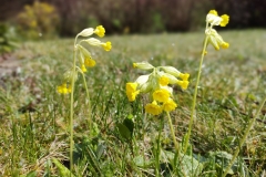Garten 14.04.2021