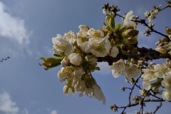 IMG_20210413_123425137_HDR