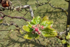 IMG_20210413_123455629_HDR