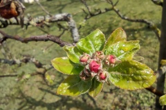 IMG_20210413_123509452_HDR