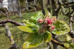 IMG_20210413_123532598_HDR