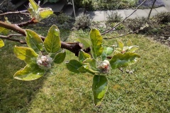 IMG_20210413_123548835_HDR