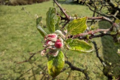 IMG_20210413_123604062_HDR