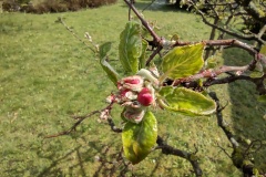 IMG_20210413_123605832_HDR