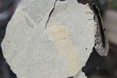 PXL_20230824_0553438432