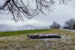 IMG_20220108_091625178_HDR2