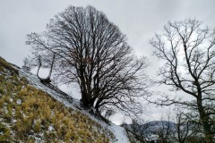 IMG_20220108_0934034952