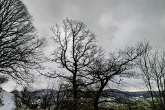 IMG_20220108_0934095722