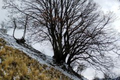 IMG_20220108_0934232782
