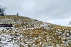 IMG_20220108_0936473262