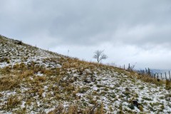 IMG_20220108_0936510032