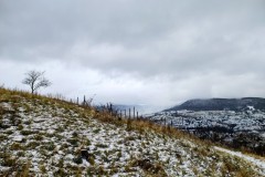 IMG_20220108_0936548032