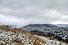 IMG_20220108_0936585252