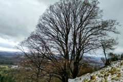 IMG_20220108_0937336712