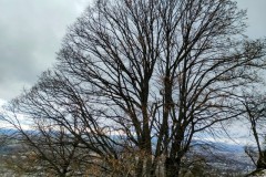 IMG_20220108_0937411002
