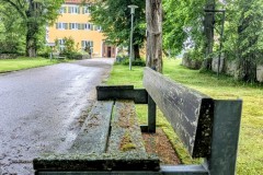 PXL_20250607_1402569962