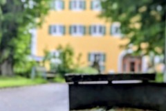 PXL_20250607_140316972.PORTRAIT2