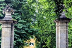 PXL_20250607_140546216.PORTRAIT.ORIGINAL2