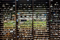 PXL_20250607_1423138702