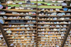 PXL_20250607_1423498792