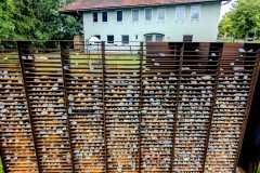 PXL_20250607_1424108953