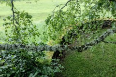 PXL_20250607_1505397203