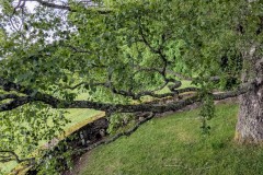 PXL_20250607_1506084602