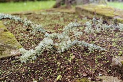 PXL_20250607_151049415.PORTRAIT2