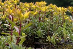 PXL_20250607_151620063.PORTRAIT2