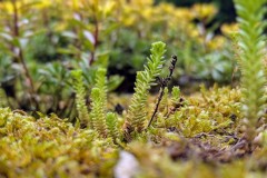 PXL_20250607_151634867.PORTRAIT.ORIGINAL2