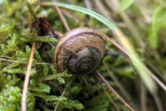 PXL_20250607_151824043.PORTRAIT2