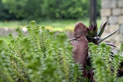 PXL_20250607_152003106.PORTRAIT2