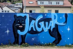 PXL_20260404_112642097.PORTRAIT.ORIGINAL2