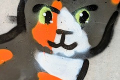 PXL_20260404_113627228.PORTRAIT2