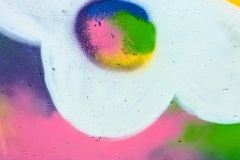 PXL_20260404_113655012.PORTRAIT2