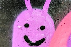 PXL_20260404_113734774.PORTRAIT2