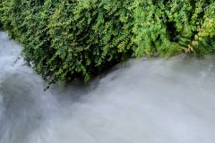 PXL_20240602_123008513.LONG_EXPOSURE-01.COVER2_