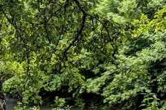 PXL_20240603_154123594.LONG_EXPOSURE-01.COVER2_