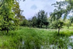 PXL_20240603_154401748.PANO2_