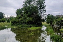 PXL_20240603_1601373492