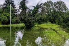 PXL_20240603_1602050532